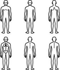Anatomical Figures and Body Shapes