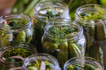 Close up of a glass jars with cucumbers prepared for pickling, Poland