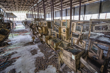 Hatching cages in abandoned Radioecology Laboratory in former fish farm in Chernobyl Exclusion Zone, Ukraine