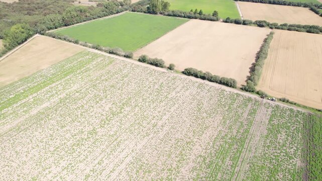 A smooth and cinematic drone shot over a vast agricultural area, a beautiful establishing shot.