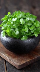 Nutrient-packed sunflower sprouts in a rustic bowl on a wooden surface showcasing fresh and vibrant greens