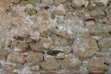 close up of a snake