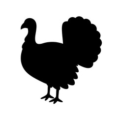 Silhouette of a majestic turkey standing proudly on a white background