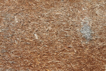 texture of wood