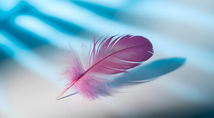 Obraz premium Floating Feather: Delicate, soft, and vibrant pink feather gracefully floats amidst the sunlit airy expanse, evoking a sense of lightness, tranquility, and ethereal beauty. 