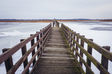 Obraz premium Wooden walking bridge over Narew river in Narew National Park, Waniewo village, Poland