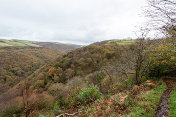 Landscape photo of the autumn colours at Countisbury Hill and Watersmeet Valley in Exmmor National Park