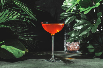 Delightful orange cocktail with mezcal and liqueur served in a stylish glass