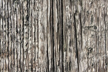 old wood texture