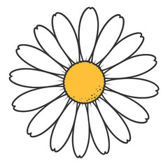 White Coneflower Botanical Illustration &ndash; Transparent PNG Floral Art