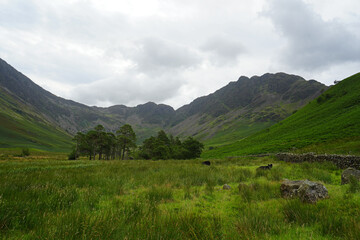 Buttermere