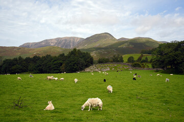 Fototapeta premium Buttermere