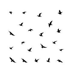 Naklejka premium 25 Birds: Nature's Colorful Avian Wonders 