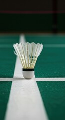 Shuttlecock on a Badminton Court