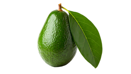 A single ripe green avocado with two fresh leaves attached isolated on a stark black background