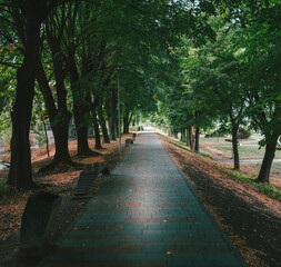 On the city rampart during the day in the summer