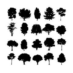 25 Trees: Nature’s Majestic Guardians