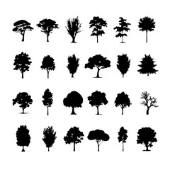 25 Trees: Nature’s Majestic Guardians