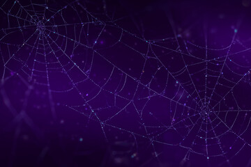 Network Abstract Glowing Spider Web on Dark Purple Background