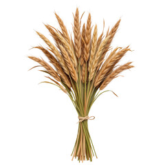 Fototapeta premium Dried Wheat Sheaf Bundled with Twine Decorated for Autumn Vibe