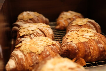 Cropped view of young adult woman holding tray with gold and crispy croissants, working on kitchen in family bakery, making delicious dessert on homemade recipe. High quality photo