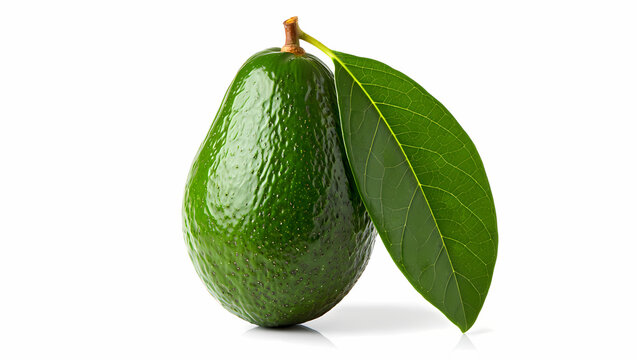 A single ripe green avocado with two fresh leaves attached isolated on a stark black background