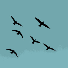 Obraz premium Seagulls flying against serene sky showing flock of birds. Seagulls are flying in air, creating mesmerizing sight of these wonderful creatures in their natural habitat.