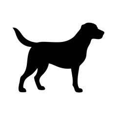 Dog: The Loyal Companion and Beloved Pet