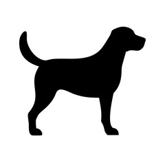 Dog: The Loyal Companion and Beloved Pet