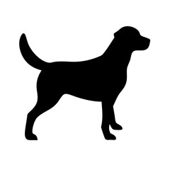 Dog: The Loyal Companion and Beloved Pet