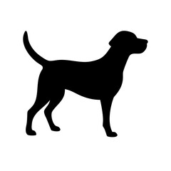 Dog: The Loyal Companion and Beloved Pet