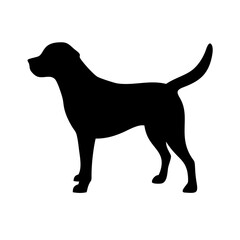 Dog: The Loyal Companion and Beloved Pet