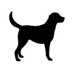 Dog: The Loyal Companion and Beloved Pet