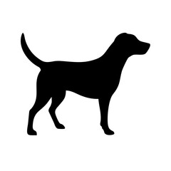 Dog: The Loyal Companion and Beloved Pet