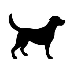 Dog: The Loyal Companion and Beloved Pet