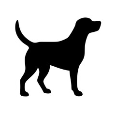 Dog: The Loyal Companion and Beloved Pet