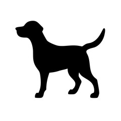 Dog: The Loyal Companion and Beloved Pet