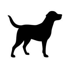 Dog: The Loyal Companion and Beloved Pet