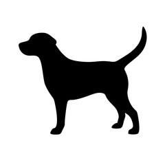 Dog: The Loyal Companion and Beloved Pet