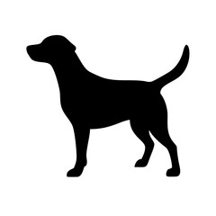 Dog: The Loyal Companion and Beloved Pet