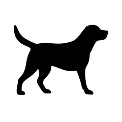 Dog: The Loyal Companion and Beloved Pet