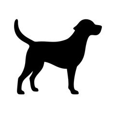 Dog: The Loyal Companion and Beloved Pet