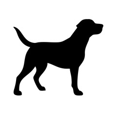 Dog: The Loyal Companion and Beloved Pet