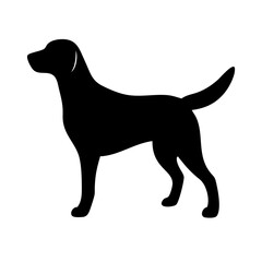 Dog: The Loyal Companion and Beloved Pet