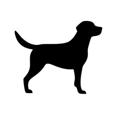 Dog: The Loyal Companion and Beloved Pet