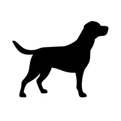 Dog: The Loyal Companion and Beloved Pet