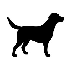 Dog: The Loyal Companion and Beloved Pet