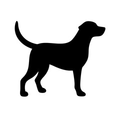 Dog: The Loyal Companion and Beloved Pet