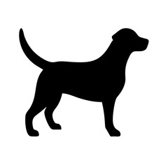 Dog: The Loyal Companion and Beloved Pet