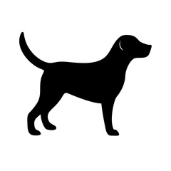 Dog: The Loyal Companion and Beloved Pet